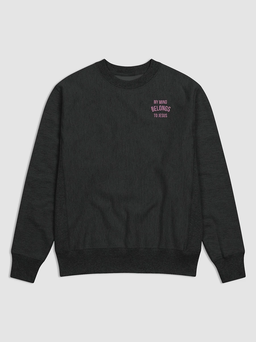 Take Captive Sweatshirt product image (1)