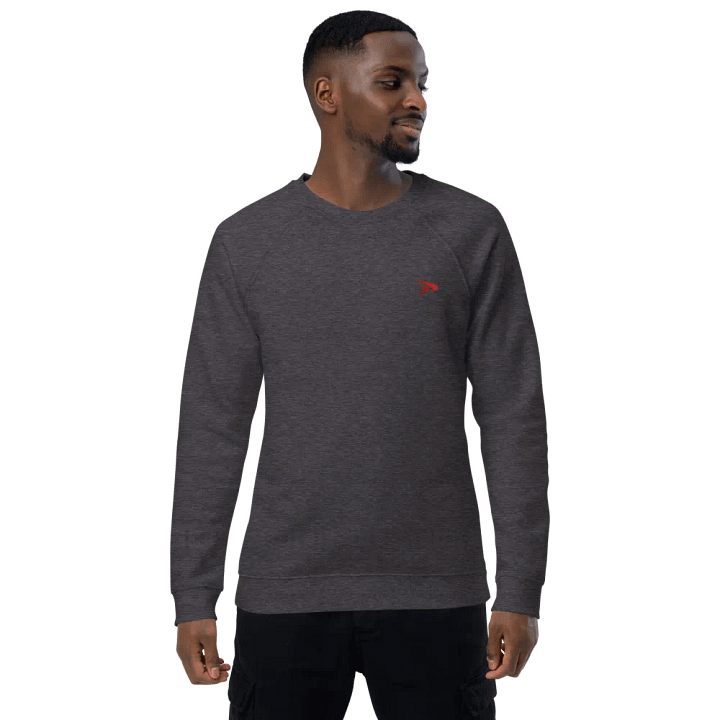 Control What You Can Control Sweatshirt- #BeFAST product image (1)
