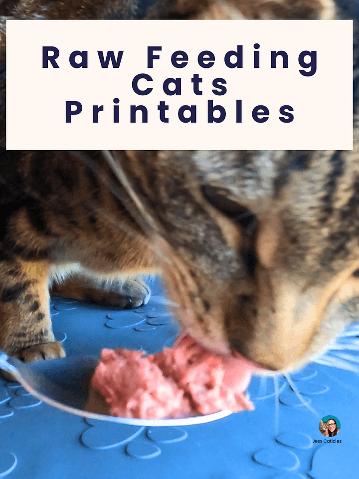 Raw Feeding Cats Printables Digital Download product image (1)