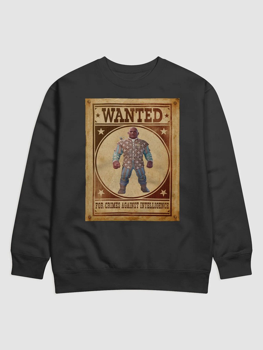 HAM Sweater product image (1)