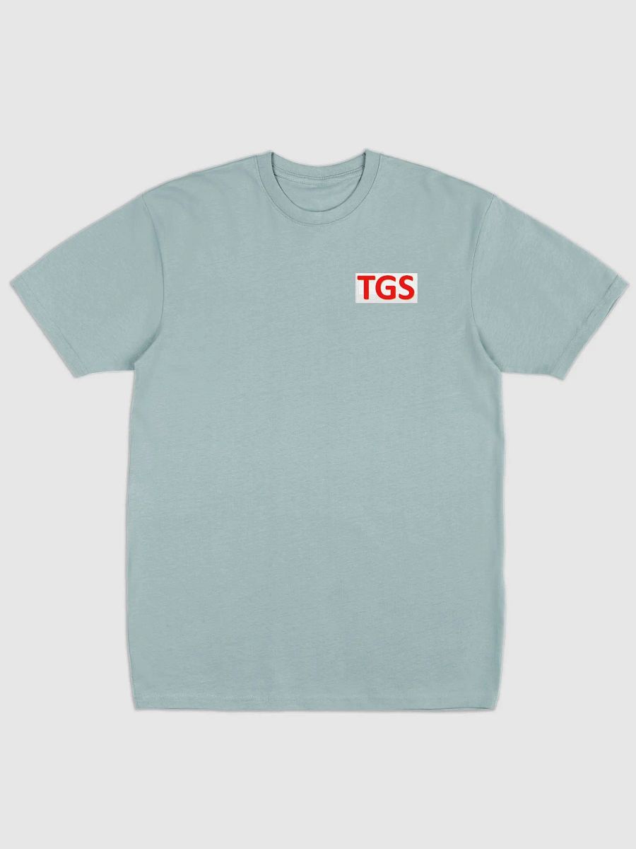 Bold TGS Men's Premium Tee product image (1)