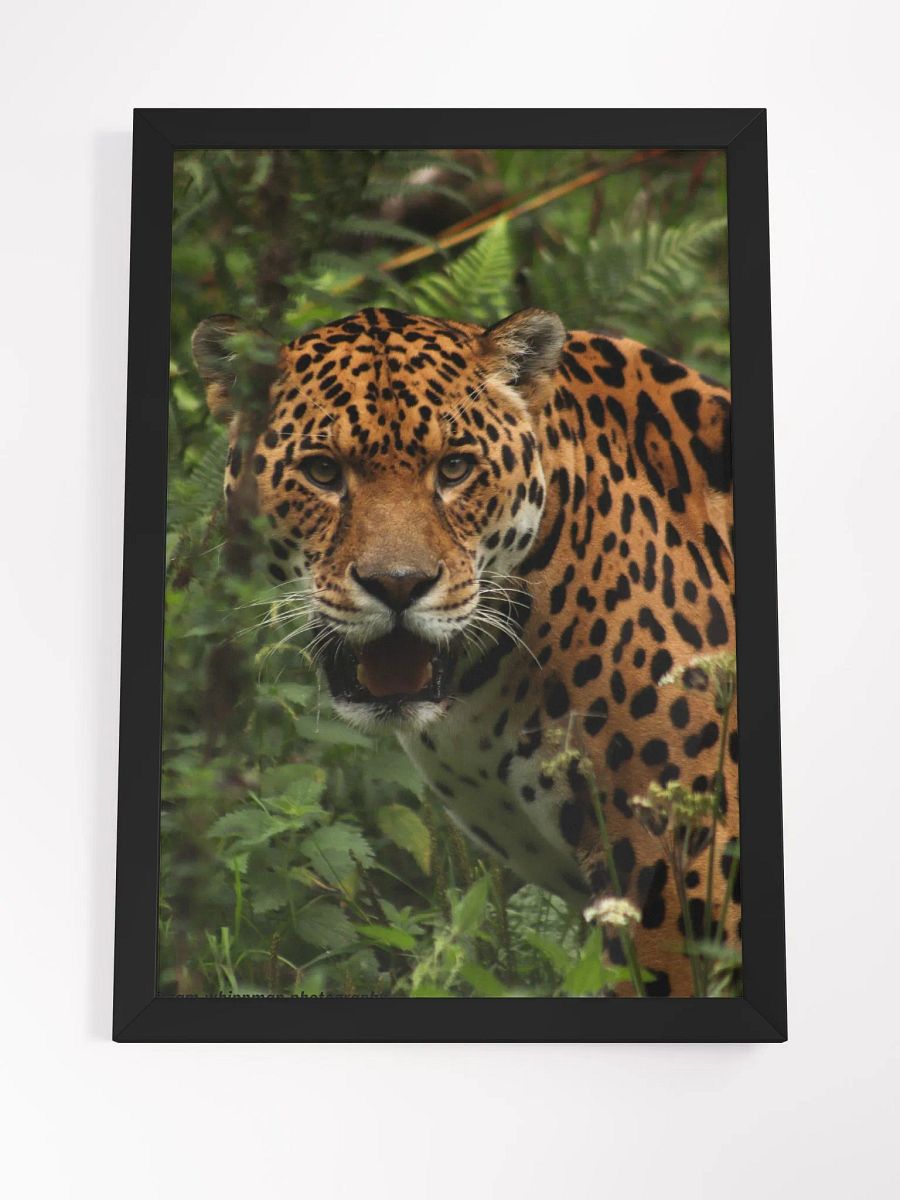 Jaguar Print product image (4)