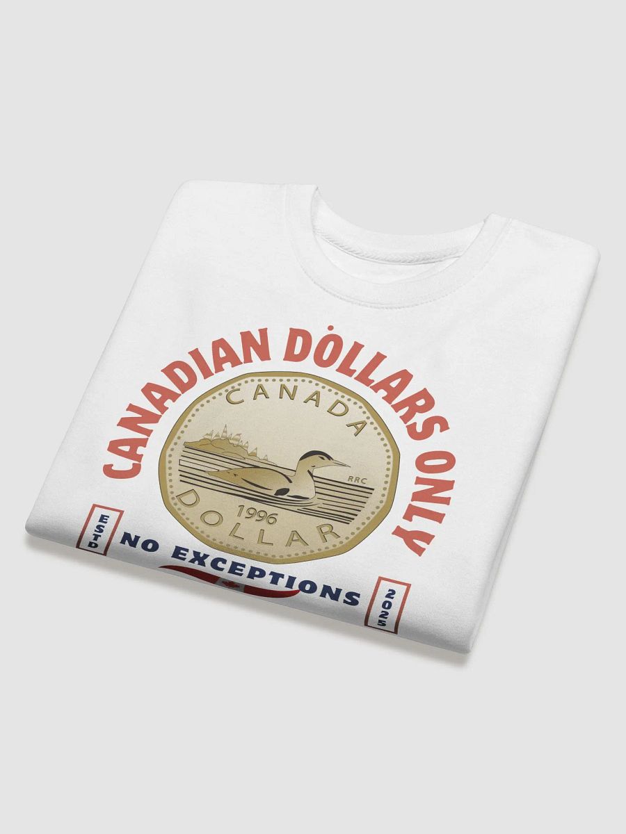 Stand Up Speak Out Loonie Sweatshirt product image (13)