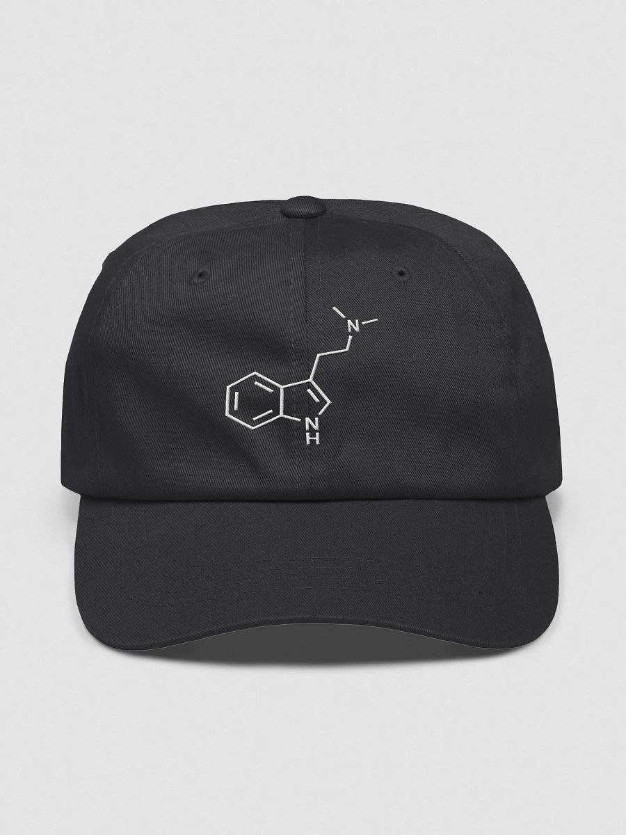Embroidered N,N-Dimethyltryptamine Hat product image (1)