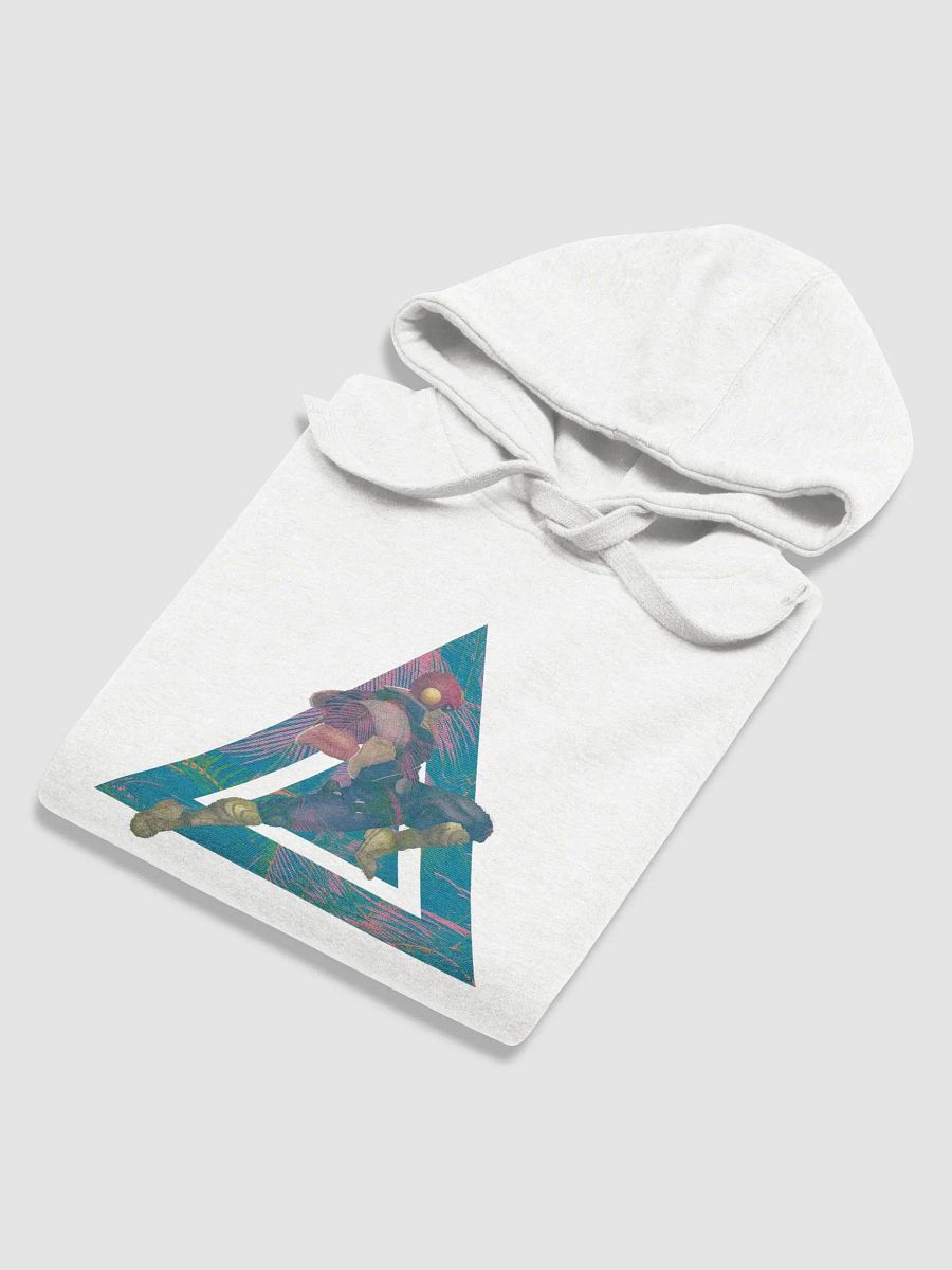Falcon Hoodie product image (11)