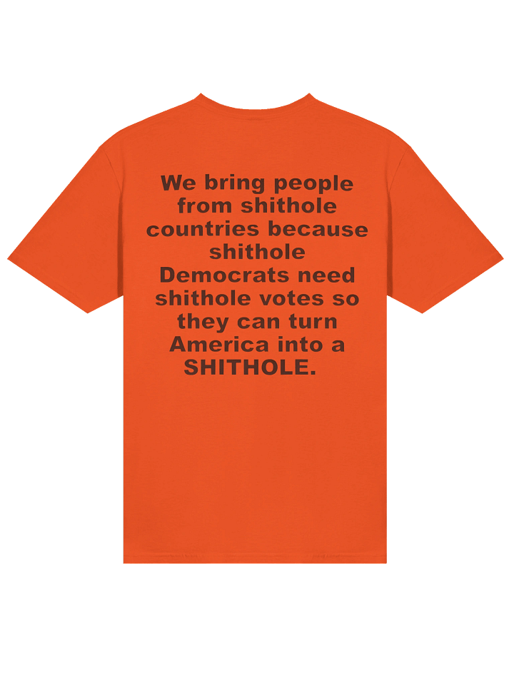 We Bring People From ‘Shithole’ Countries T-Shirt product image (2)