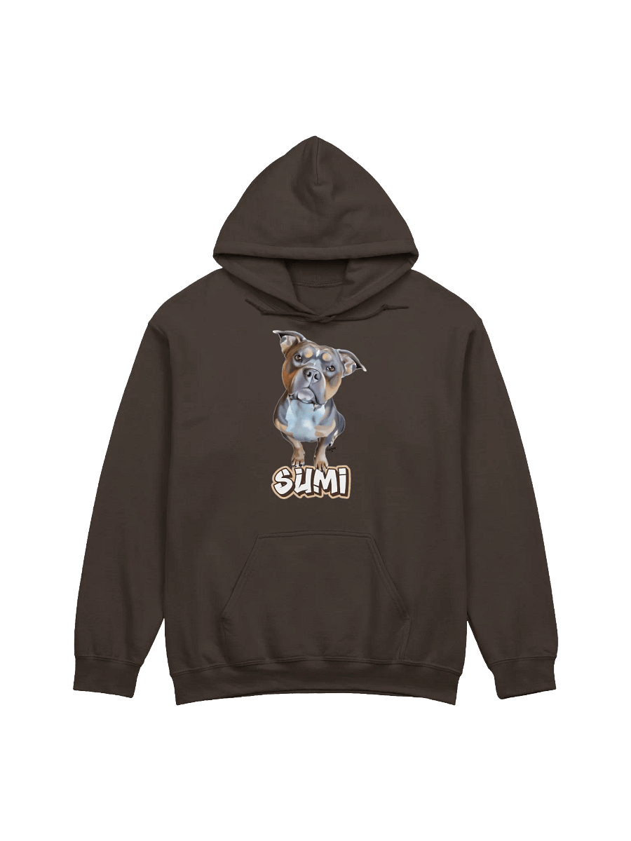 Sumi Banner | Hoodie product image (1)
