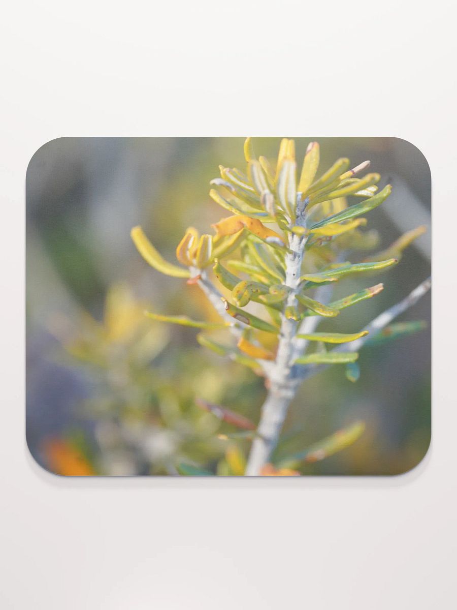 Plant Mouse Pad product image (2)