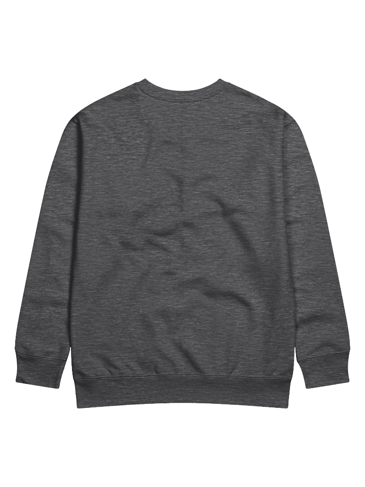Does Not Play Well with Others Unisex Sweatshirt product image (9)