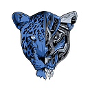 Jag Merch