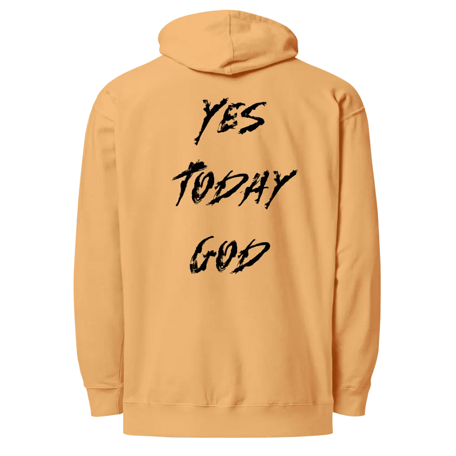 The Lives On HIGH | YTG STEALTH | UNISEX Hoodie | Peach product image (5)