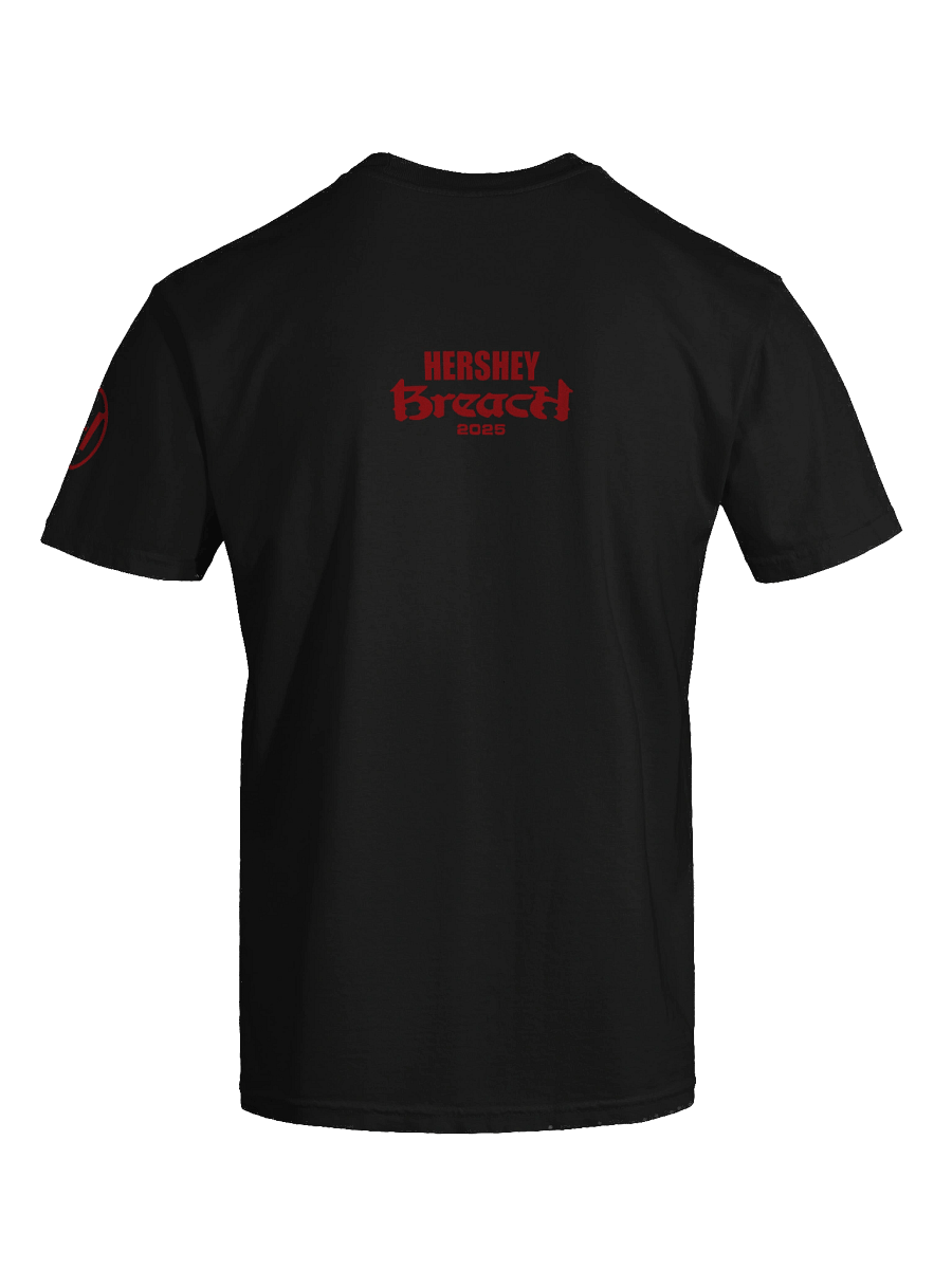 Breach Hersheypark Stadium T-Shirt product image (9)