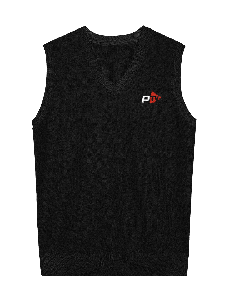 PTV Knitted V-Neck Vest product image (5)