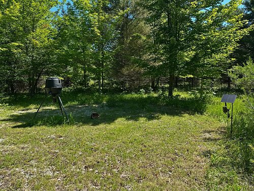 Got a new @moultrieproducts connected feeder and an Edge 2 Pro with solar all set out to start brining the locals around more...