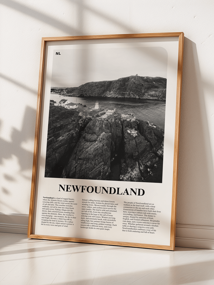 Newfoundland 01 Newspaper Poster product image (2)
