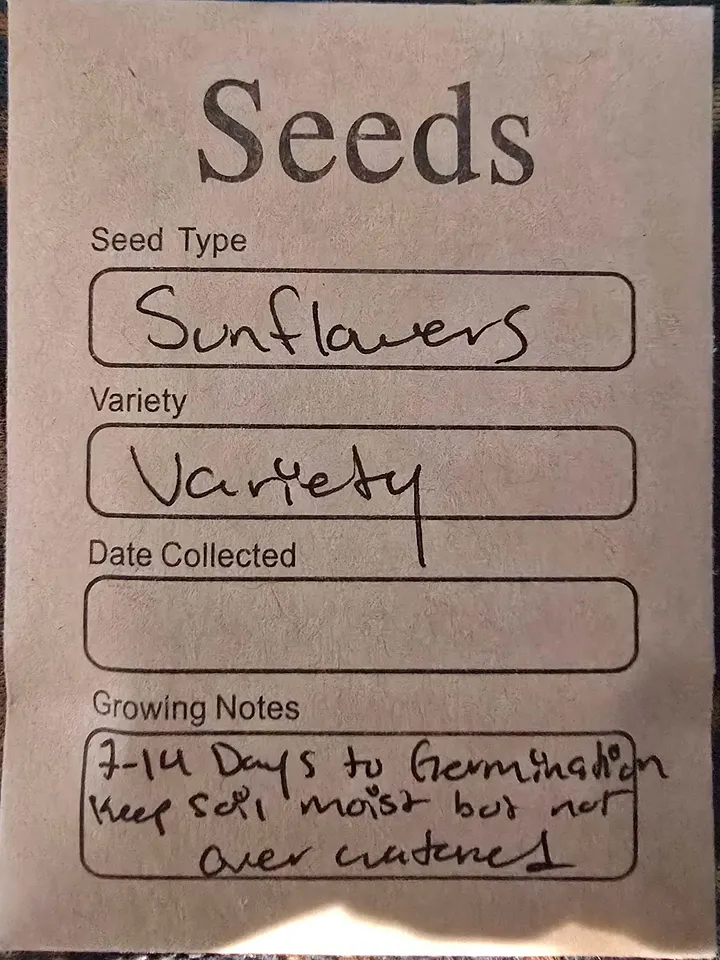 SEEDS! Updated! product image (11)