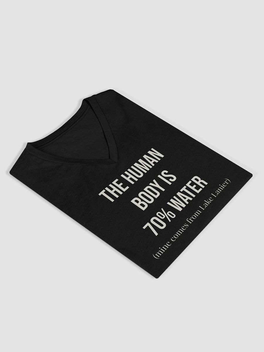 70% Lake Lanier V Neck Ladies Tee product image (4)