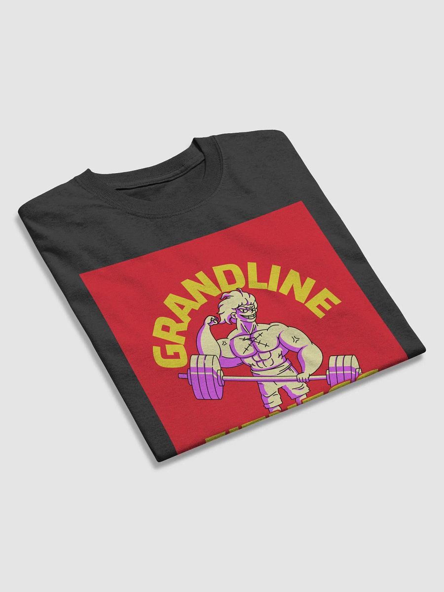 "Grandline Fitness" Gildan Heavyweight T-Shirt - Bold Anime-Inspired Gym Vibes product image (3)