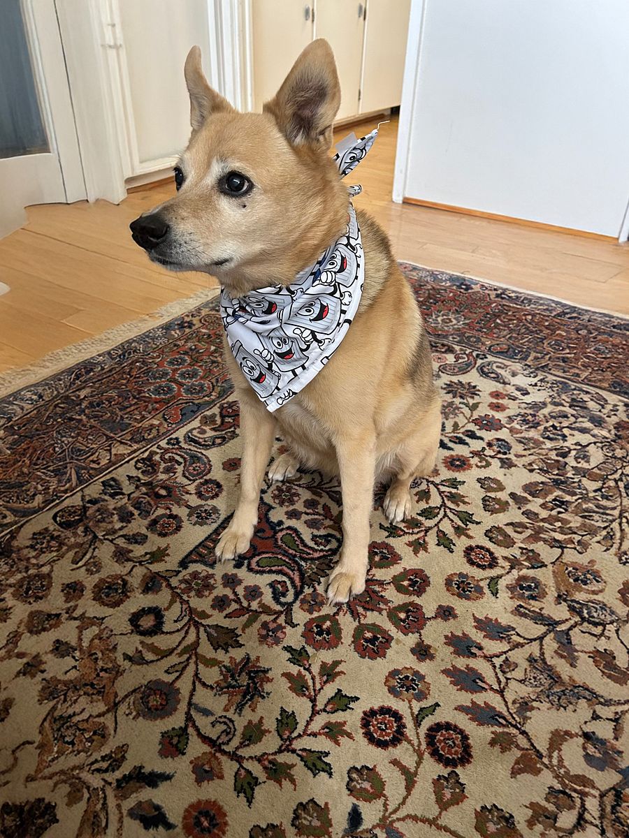 Trashy bandana product image (1)