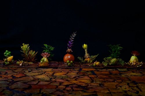 Plants are done, time to move on.

#miniatureterrain #miniaturebasing #miniaturepainting #scifi #scifiart #art #miniatureplants