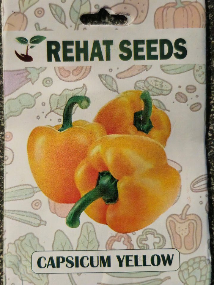 Seeds Capsicum yellow product image (1)