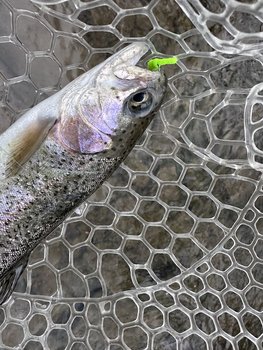 Greenie Weenie Fly fishing Flies product image (5)