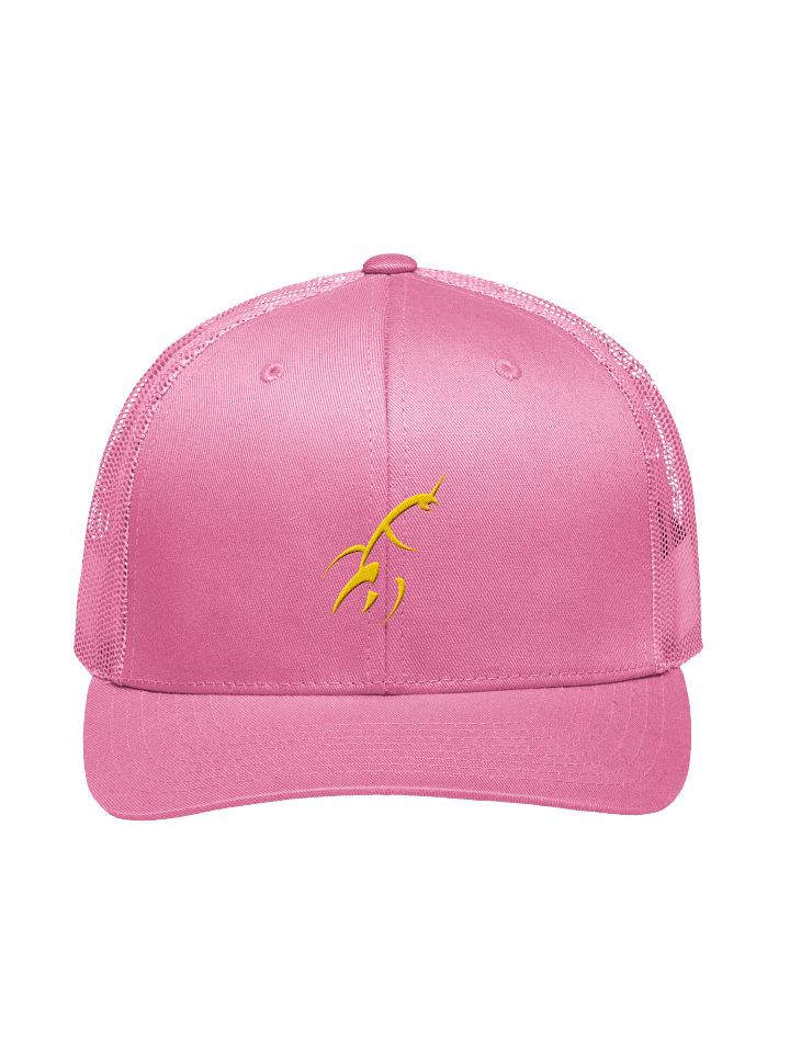 Pink Rocket Hat product image (1)