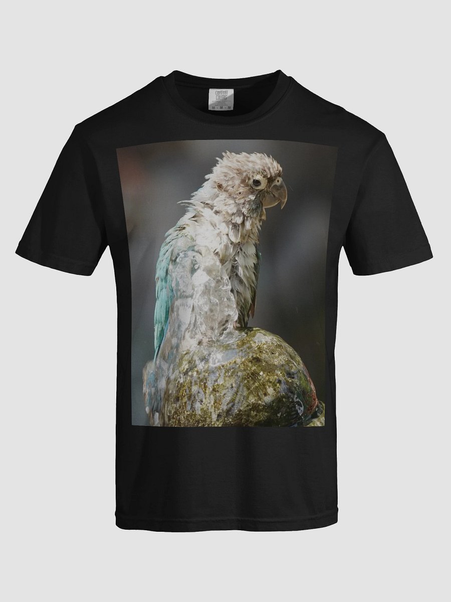 Ruffled Feathers Parrot Tee product image (5)