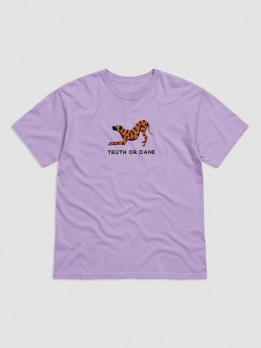 Truth or Dane T-Shirt(Embroidered) of a Great Dane(Brindle) product image (4)