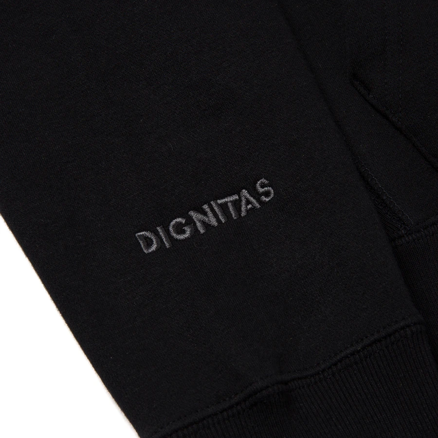 Dignitas Hoodie - Black product image (6)