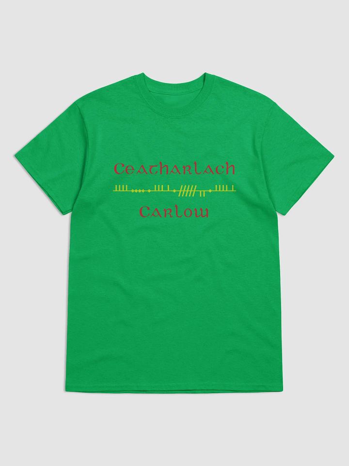 Carlow/Ceatharlach, Scholastic Style Ogham green Printed T-shirt product image (1)
