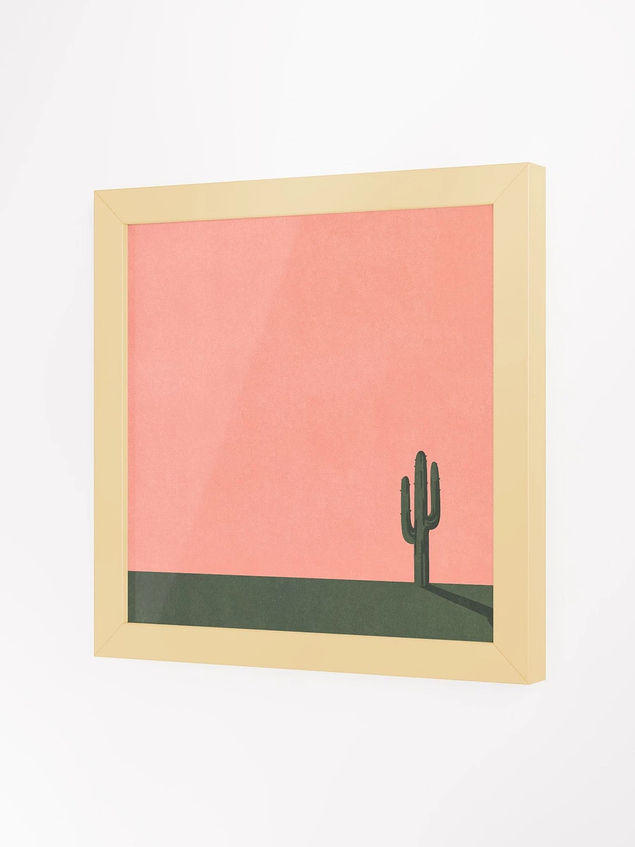 Cactus product image (18)