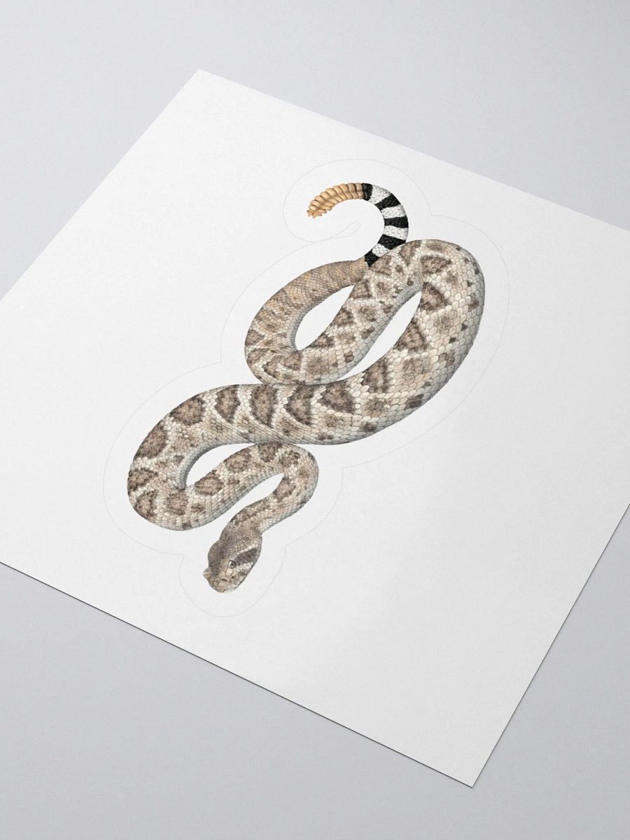 Die Cut Sticker – Western Diamondback Rattlesnake product image (3)