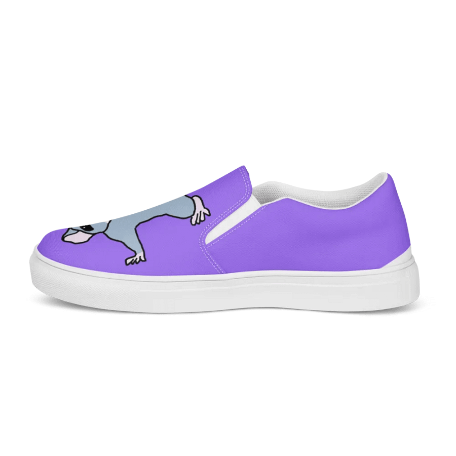 Splat rat, slip on canvas shoes (mens) product image (11)