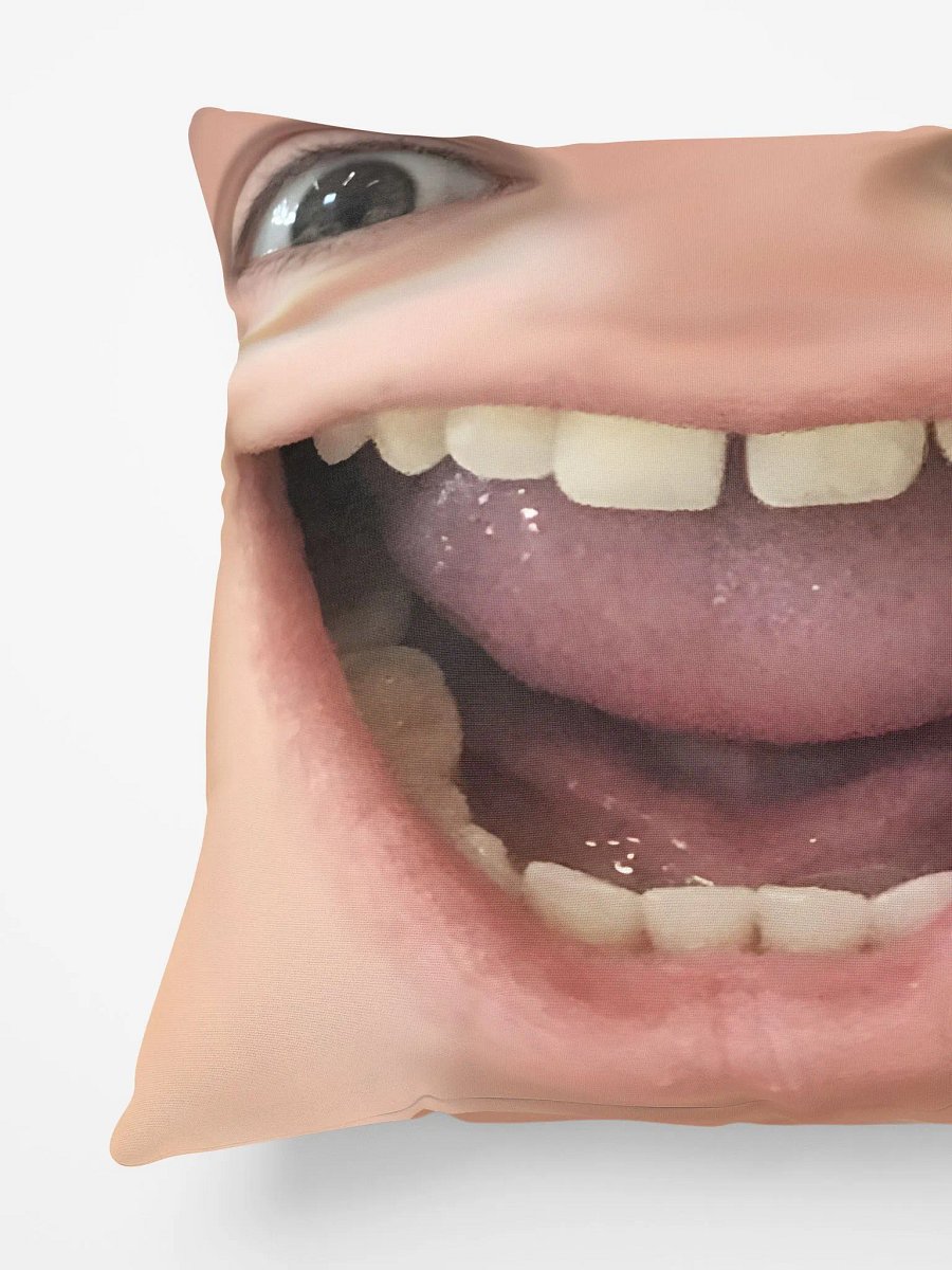 fraserDerp Pillow product image (3)