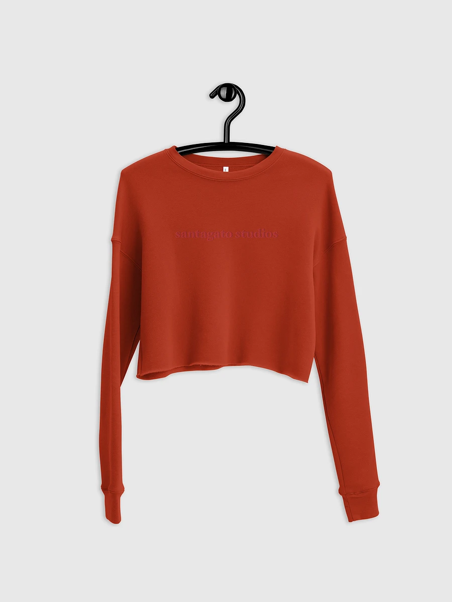 Fleece Crop Sweater (Brick) product image (3)