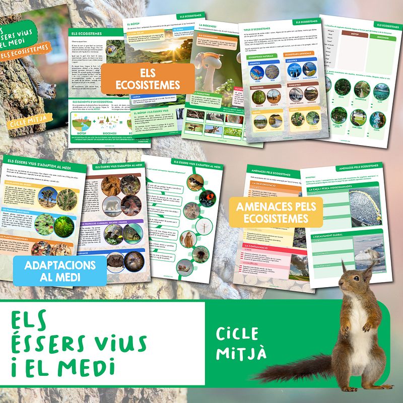 Els éssers vius i el medi: Ecosistemes