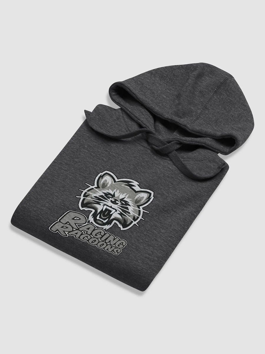 Raging Racoons Hoodie product image (56)