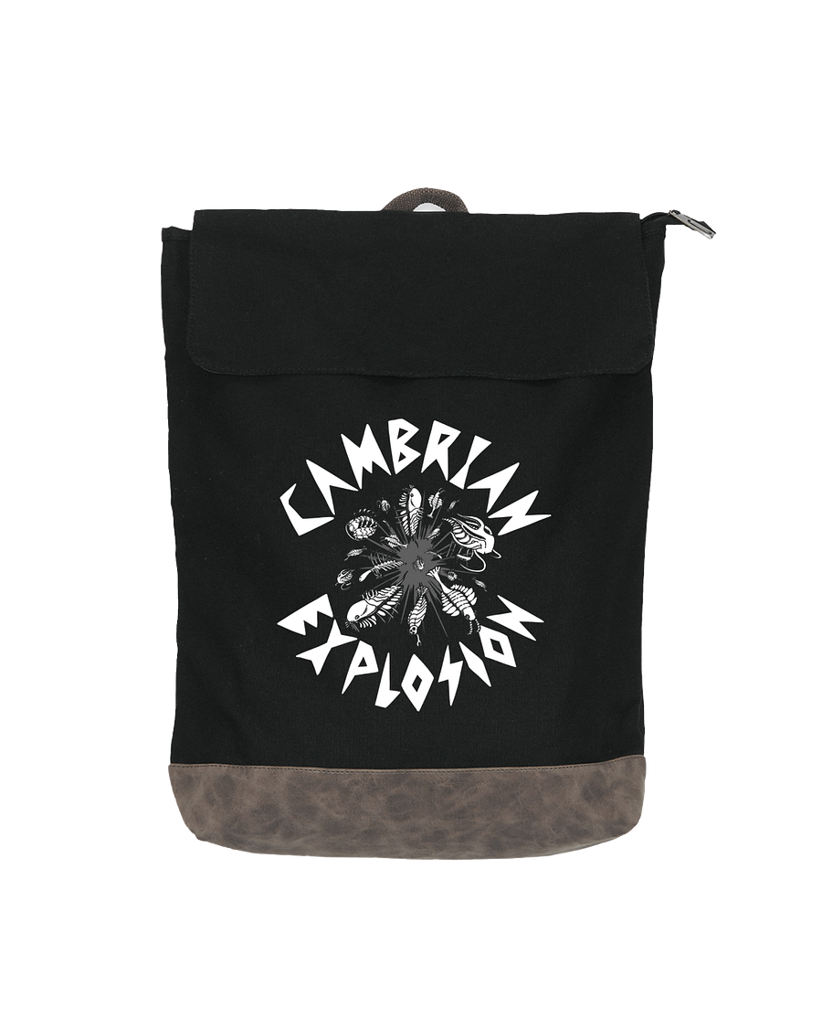 Explosion Canvas RuckSack product image (1)