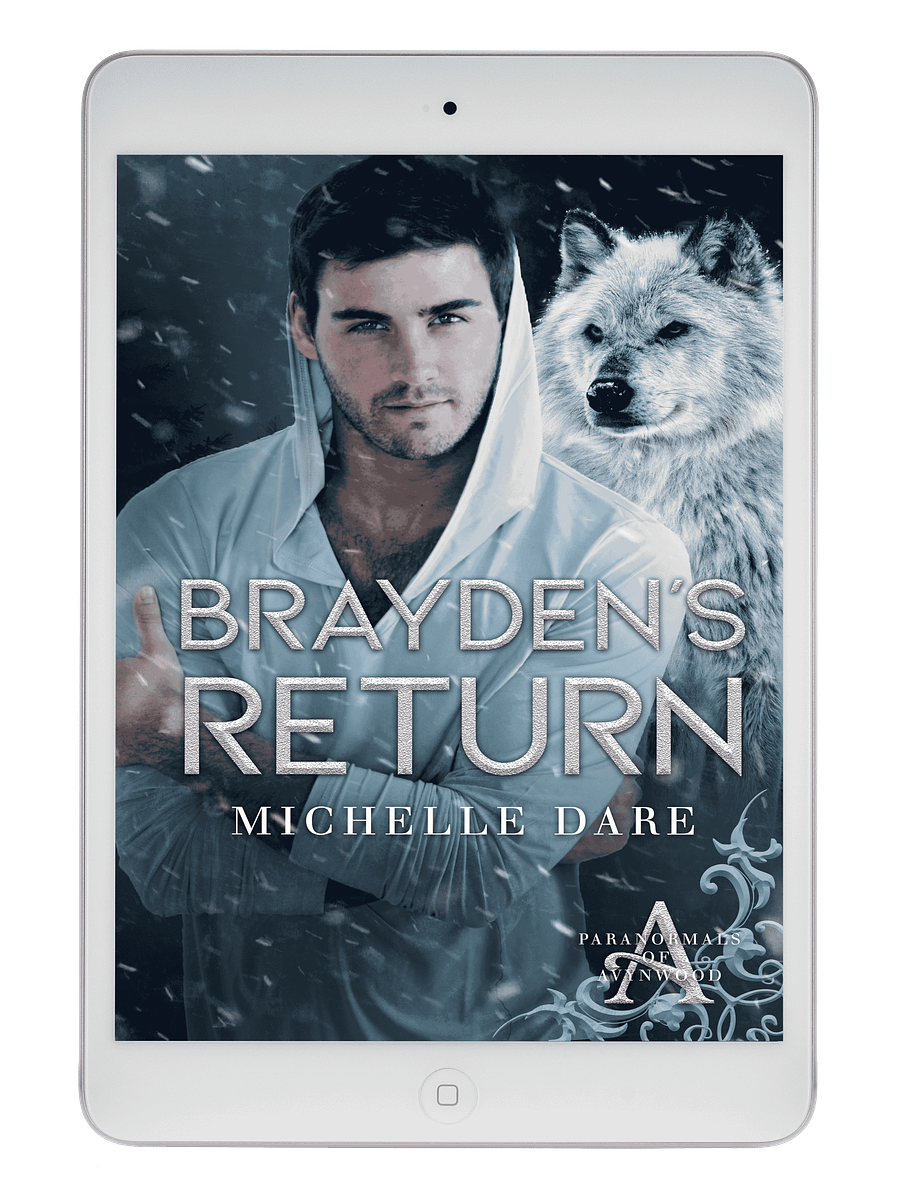 Brayden's Return product image (1)