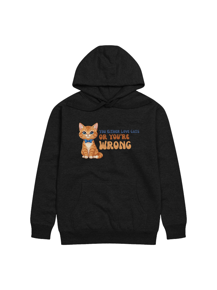 Cat Lover Statement Hoodie product image (2)