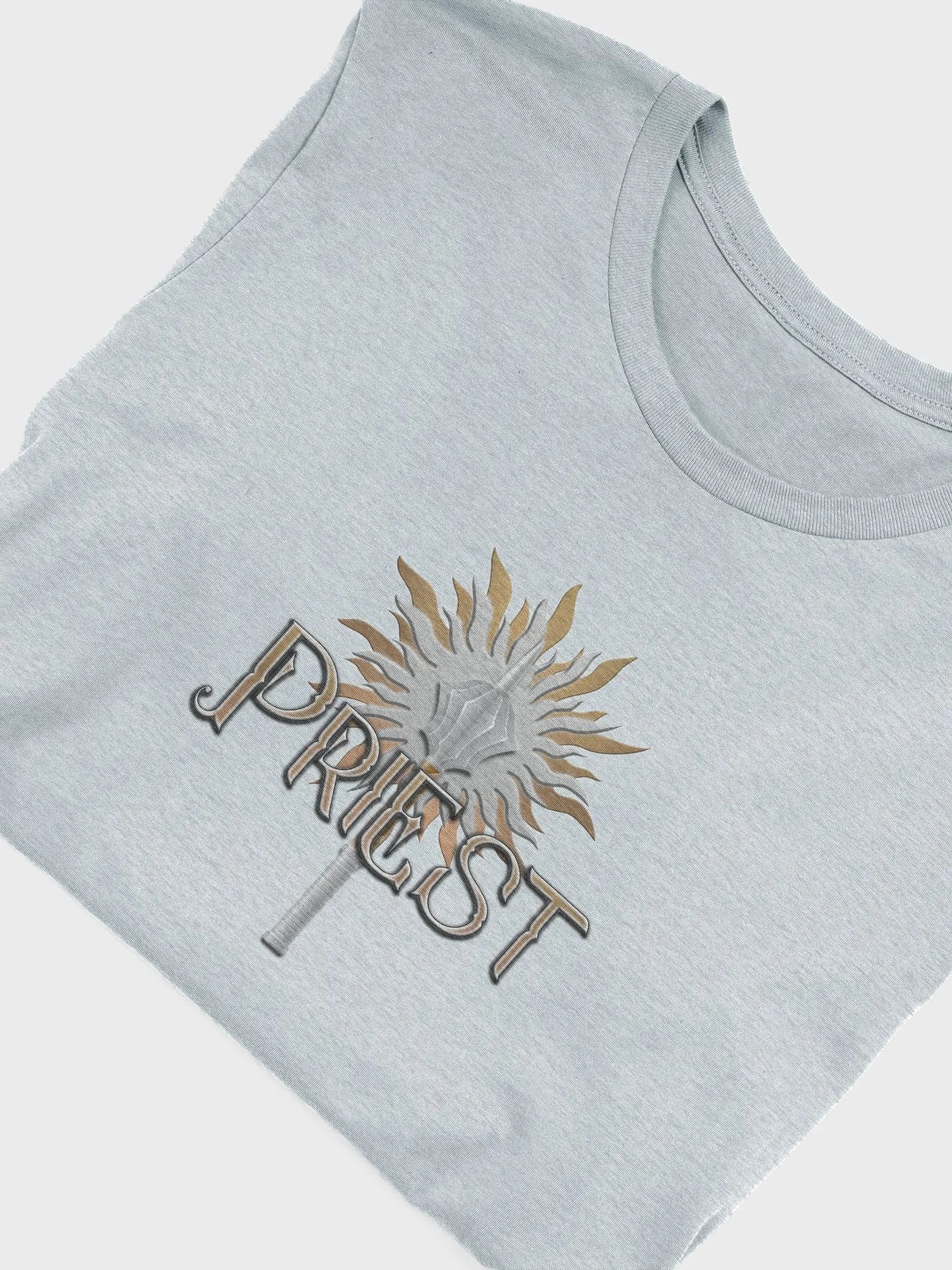 Class Unlocked: Priest product image (4)