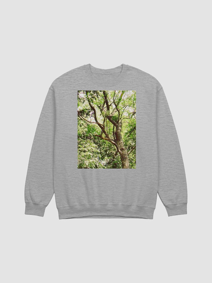 Earth tone DIVINE MUSIC sweatshirt product image (1)