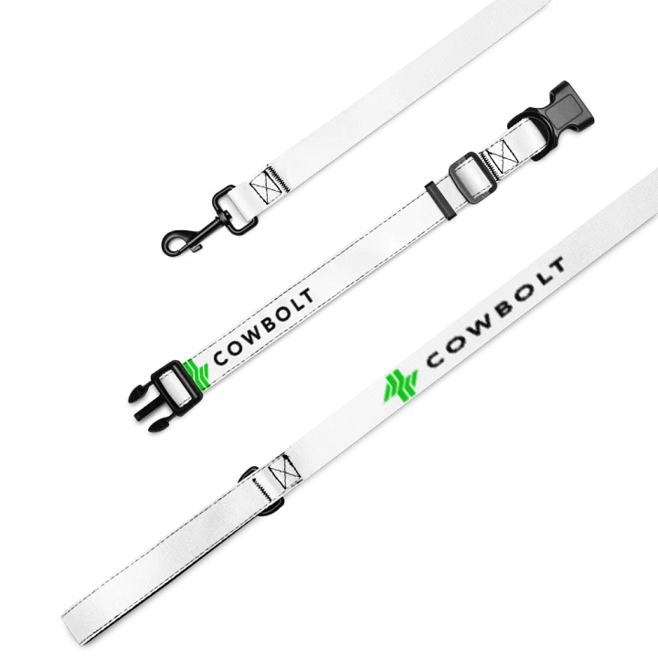 Cowbolt, Pet Leash and Collar product image (2)