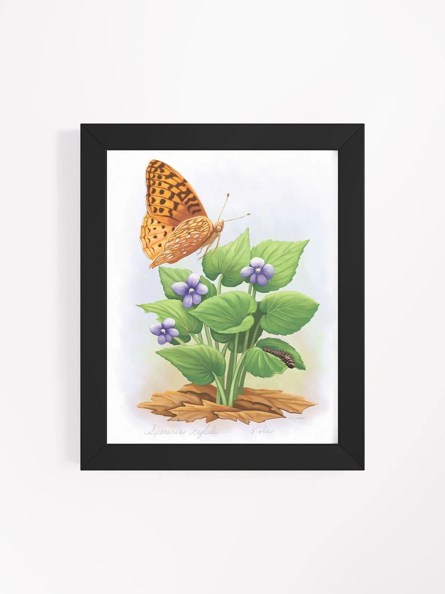 Fritillary Butterfly product image (40)