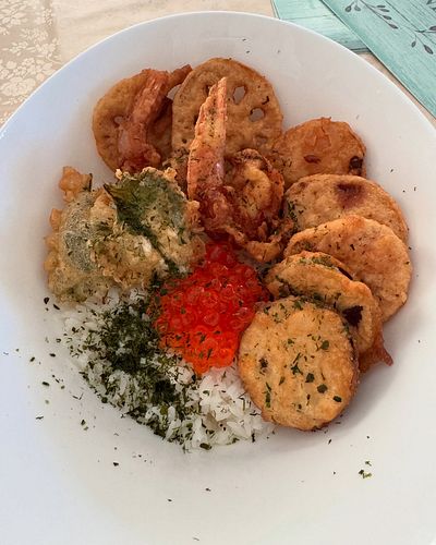 Tempura donburi, anyone? I think my favorite bite was the shiso leaf 🍚