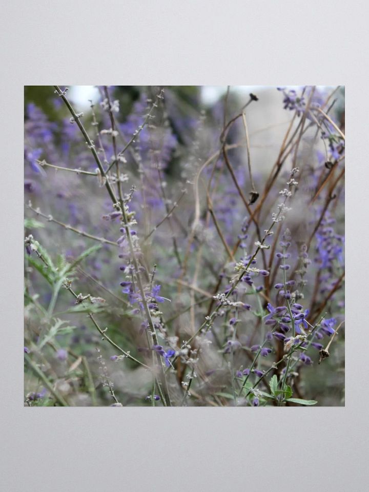 A Study in Flowers 13 - sticker version product image (1)