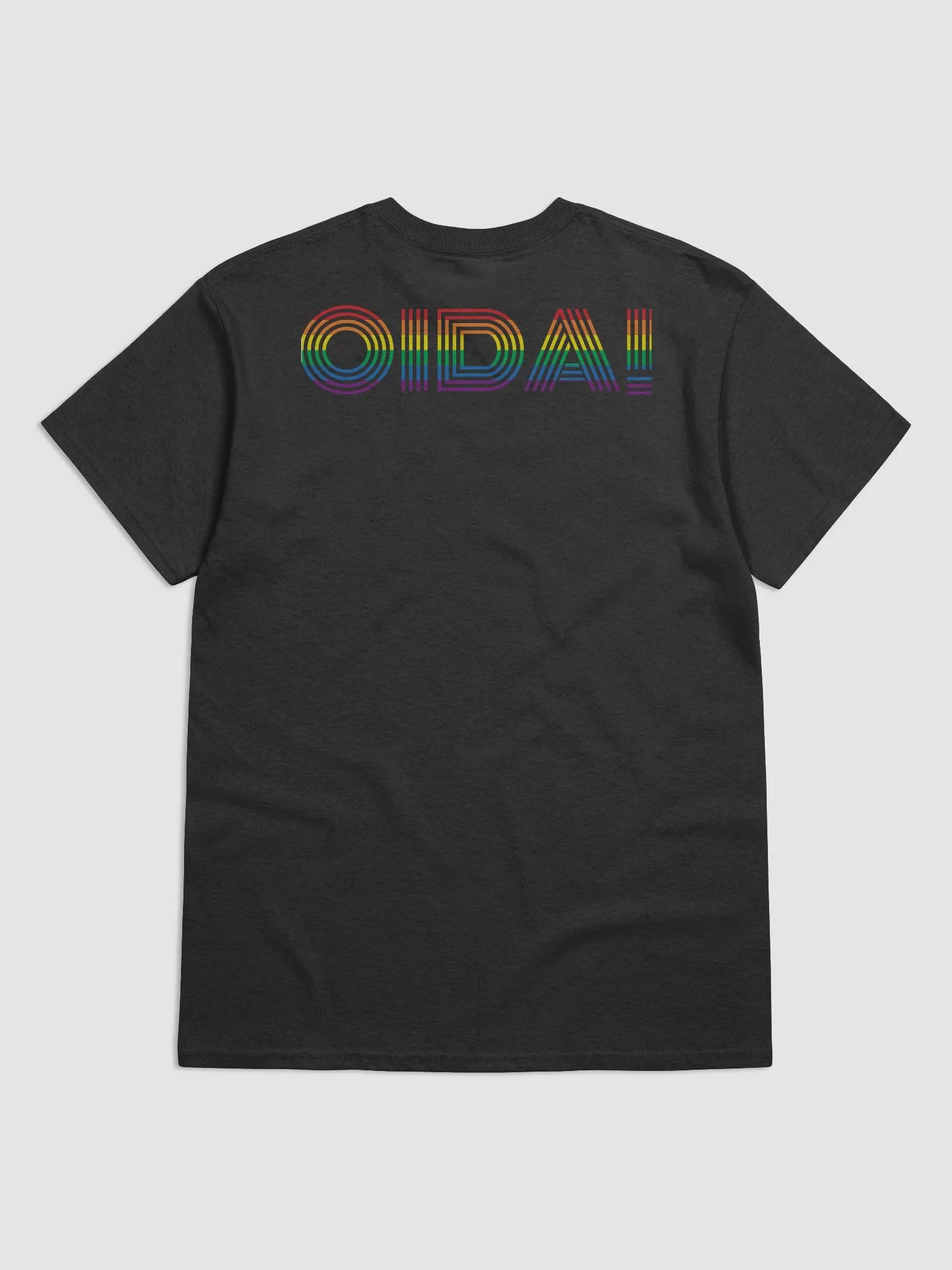 OIDA! Pride T-Shirt | EU & US product image (2)
