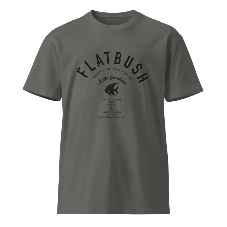 Flatbush Little Caribbean Gray Tee Sadie product image (1)