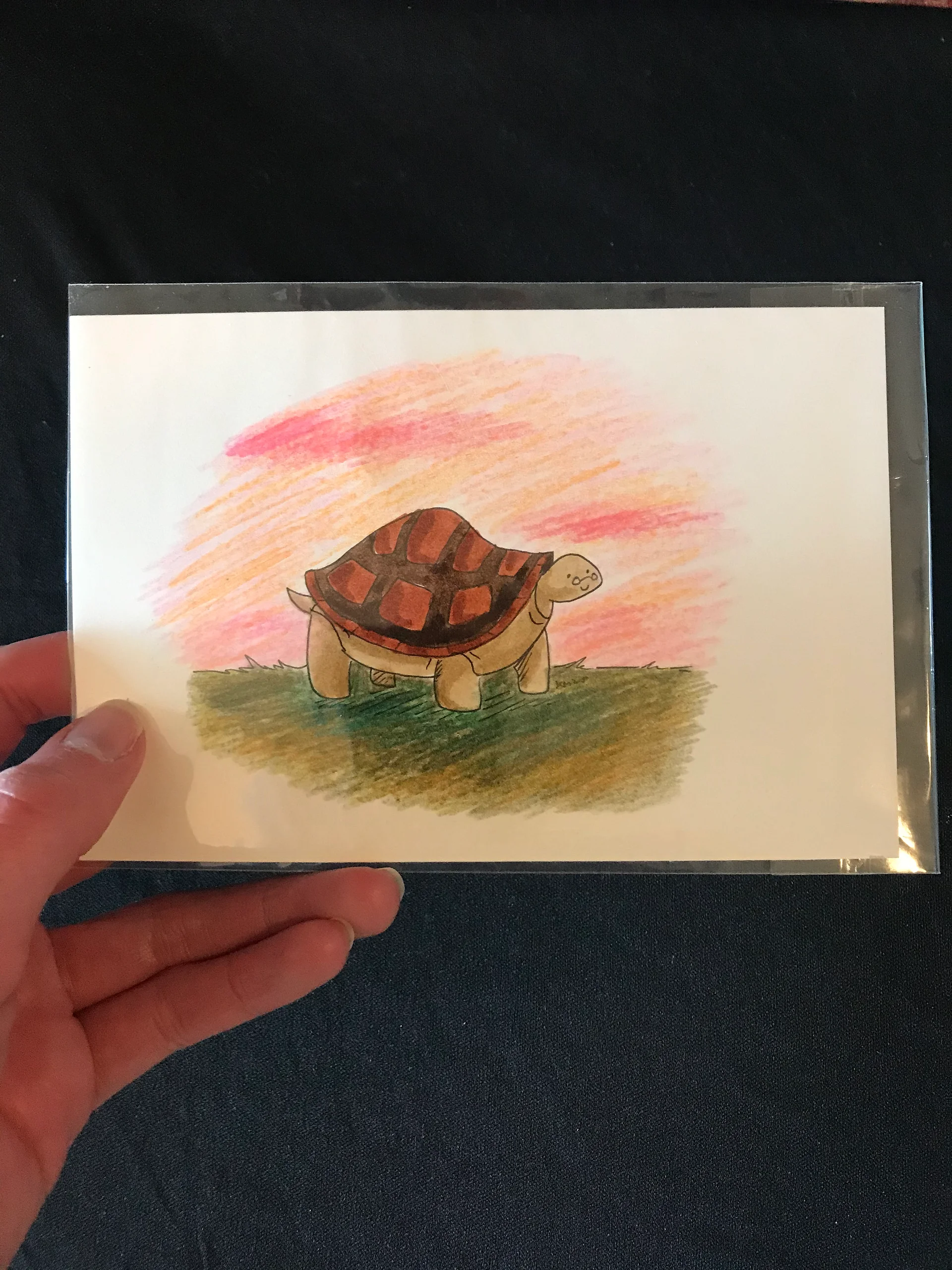 Turtles with Glasses Original Marker Illustrations product image (5)